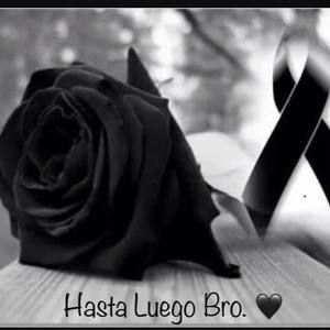 Meet your Posher, Hernandez